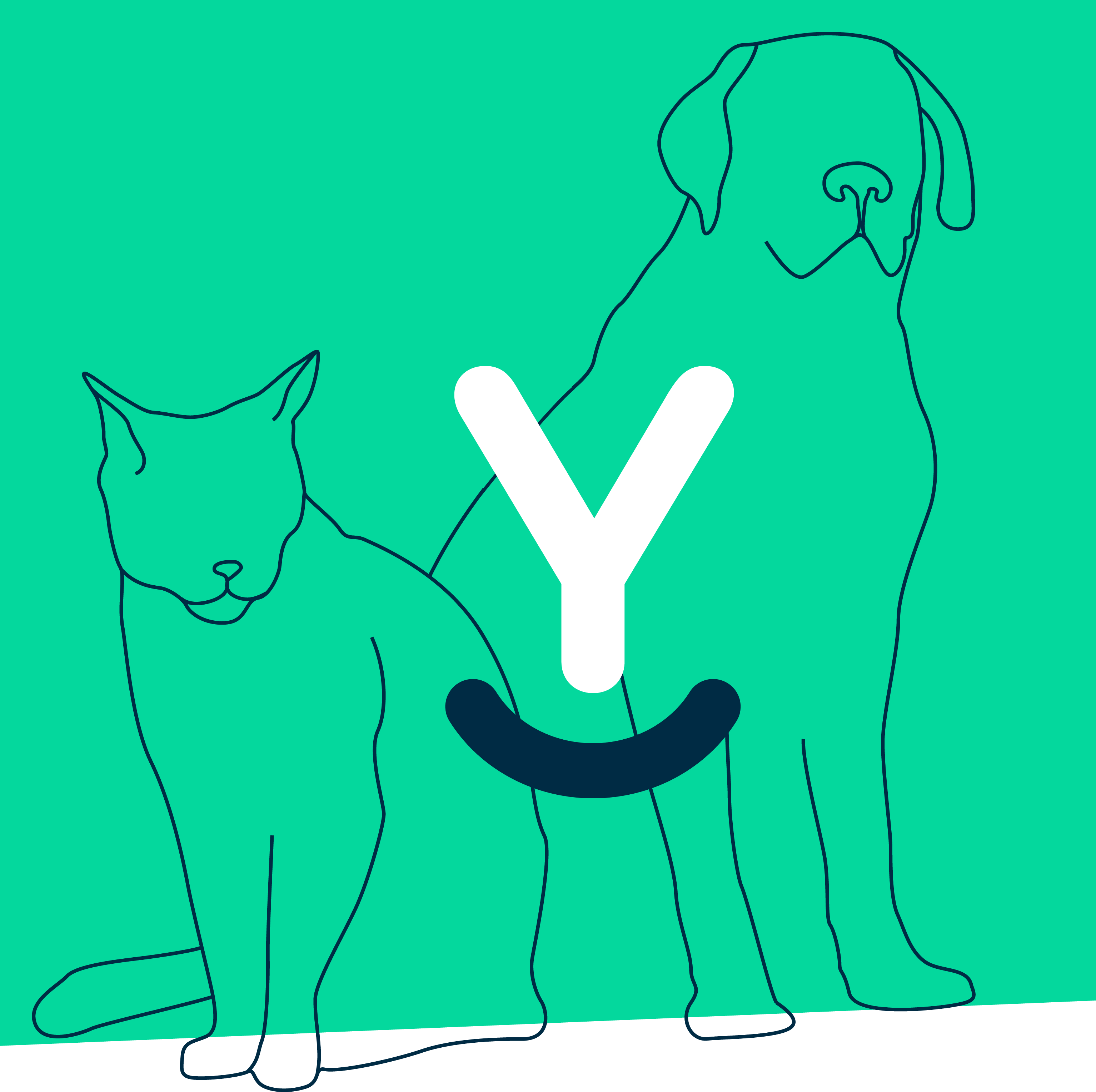 dieren-tekening-yessa
